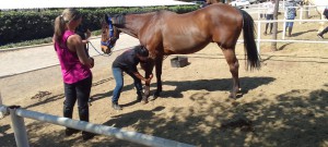 WhatsApp Image 2024-10-22 at 17.19.46_a553a208