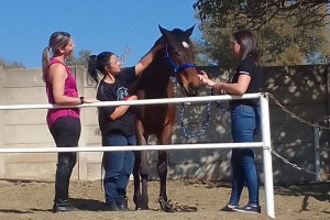 WhatsApp Image 2024-10-22 at 17.19.47_5ee4453c