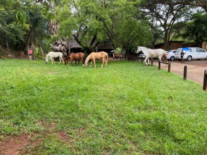 WhatsApp Image 2024-12-22 at 08.48.30_105ee29b